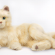 Illustration for article titled Hasbro Now Has a Toy Line For Seniors Starting With a Lifelike Robotic Cat